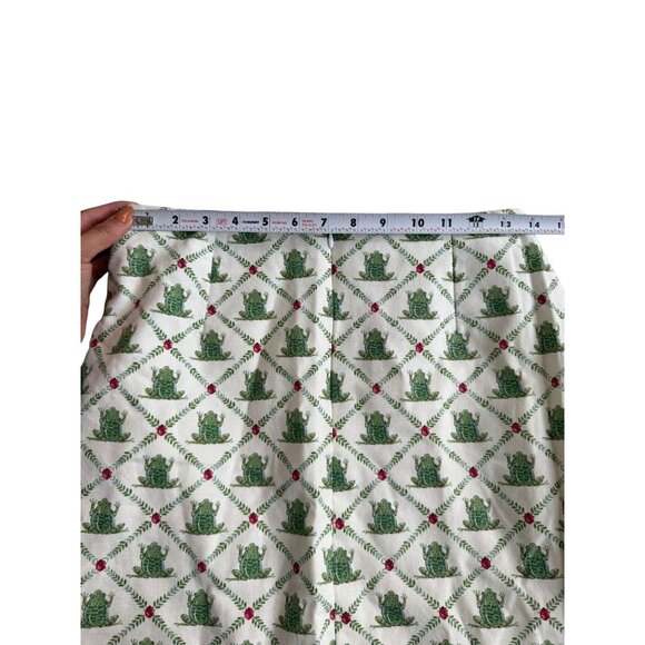 SNAPPY TURTLE Delray Beach FL Ladybug Frog Print Skirt Size 6 - Picture 6 of 11